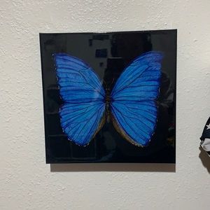 Butterfly canvas picture